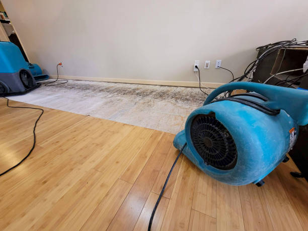 Professional Sewage Cleanup technician working in Smithtown, NY